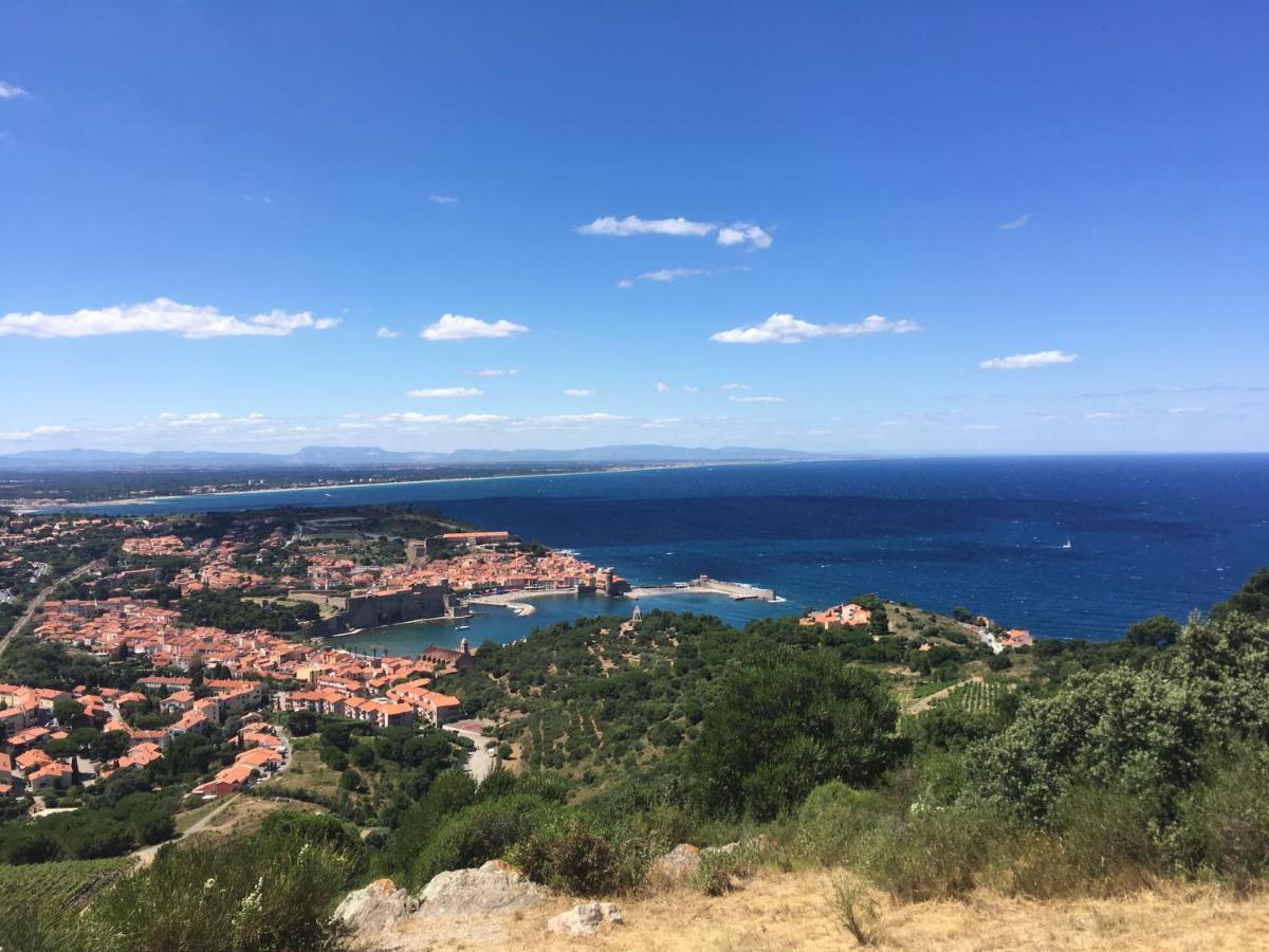 Pieds Dans L'Eau A Collioure Apartment Екстериор снимка